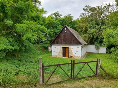 Hőgyész Csicsó Vadászház Eladó