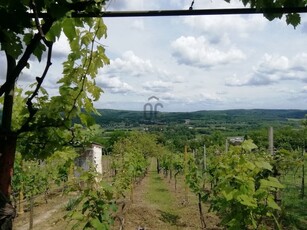 Eladó családi ház Zalaegerszeg