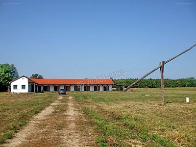 Acsád, ingatlan, ház, 110 m2, 98.000.000 Ft