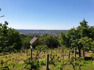 Eladó telekBudaörs