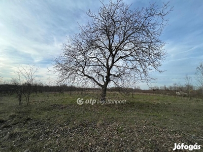 Eladó Mezőgazdasági, Kiskunhalas