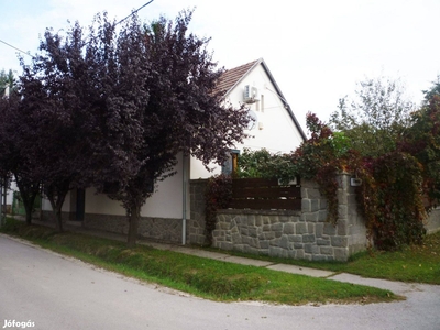 Nagykovácsi központjában - Nagykovácsi, Pest - Ház