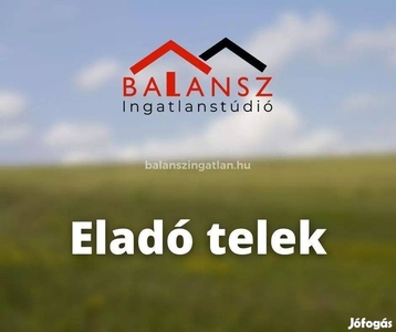 Nyírszőlős 6385 m2 építési telek eladó! - Nyírszőlős, Nyíregyháza, Szabolcs-Szatmár-Bereg - Telek, föld