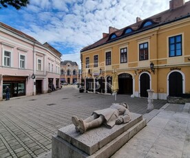 Kiadó üzlethelyiség - Székesfehérvár