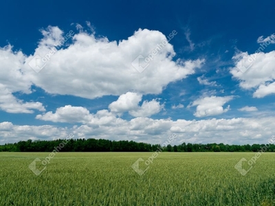 Pannonhalma, eladó ipari - Pannonhalma, Győr-Moson-Sopron - Iroda, üzlethelyiség, ipari ingatlan