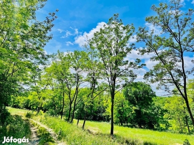 Eladó telek, Balatonboglár