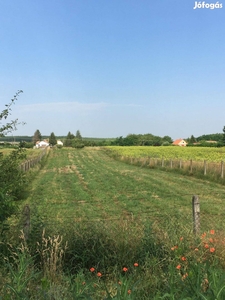 Sóstóhegy, Nyírség utca 1.500 m2 telek eladó - Sóstóhegy, Nyíregyháza, Szabolcs-Szatmár-Bereg - Telek, föld