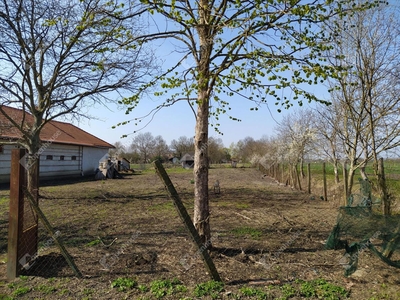 Eladó termőföld, szántó - Békéscsaba