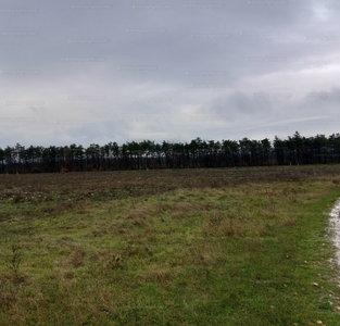 Eladó általános mezőgazdasági ingatlan - Balatonakali, Dörgicsei utca