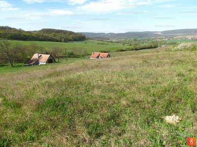 Eladó általános mezőgazdasági ingatlan - Balatoncsicsó, Fenyveshegy