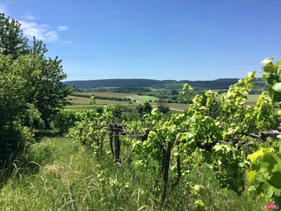 Eladó általános mezőgazdasági ingatlan - Balatoncsicsó, Veszprém megye