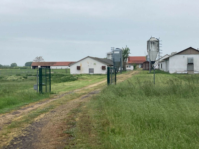 Eladó általános mezőgazdasági ingatlan - Kiskunfélegyháza, VI. körzet