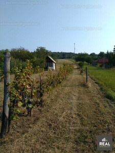 Eladó általános mezőgazdasági ingatlan - Sopron, Kohlenbergdűlő