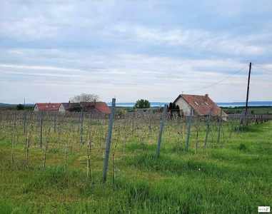 Eladó általános mezőgazdasági ingatlan - Tagyon, Tagyonhegy