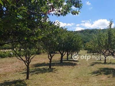 Eladó átlagos állapotú nyaraló - Tapolca