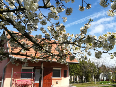 Eladó családi ház - Kiskunfélegyháza, Béla király utca