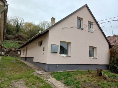 Eladó családi ház - Leányvár, Bécsi út 160.