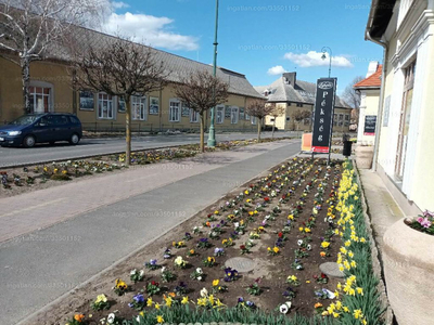 Eladó családi ház - Zsámbok, Petőfi utca 50.