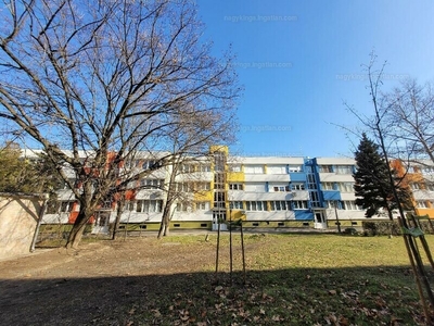 Eladó csúsztatott zsalus - Szentendre, Hamvas Béla utca