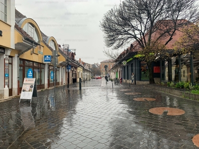 Eladó egyéb vendéglátó egység - III. kerület, Csemete utca