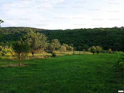 Eladó hétvégi házas nyaraló - Balatonalmádi, Veszprém megye