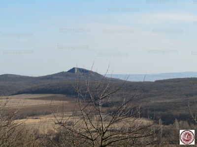 Eladó hétvégi házas nyaraló - Balatonhenye, Veszprém megye