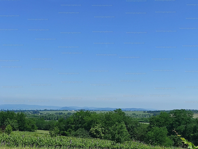 Eladó hétvégi házas nyaraló - Balatonőszöd, Külterület