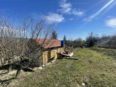 Eladó hétvégi házas nyaraló - Biatorbágy, Pest megye