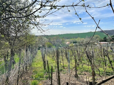 Eladó hétvégi házas nyaraló - Bicske, Előhegy