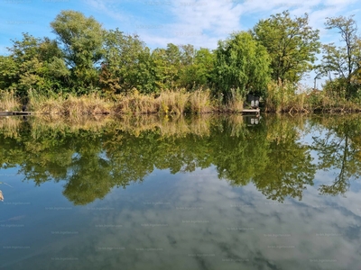 Eladó hétvégi házas nyaraló - Gyomaendrőd, Danzug