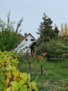 Eladó hétvégi házas nyaraló - Gyomaendrőd, Kecsegészug