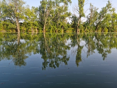 Eladó hétvégi házas nyaraló - Mezőtúr, Peresi holtág