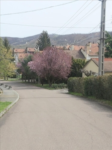 Eladó jó állapotú ház - Farkaslyuk