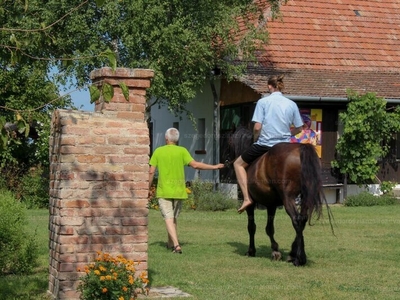 Eladó külterületi telek - Balástya, Csongrád-Csanád megye