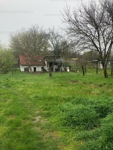 Eladó külterületi telek - Debrecen, Biczó István-kert