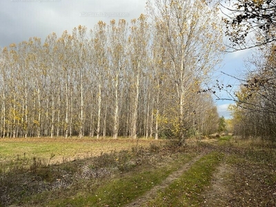 Eladó külterületi telek - Dunavarsány, Kisvarsány