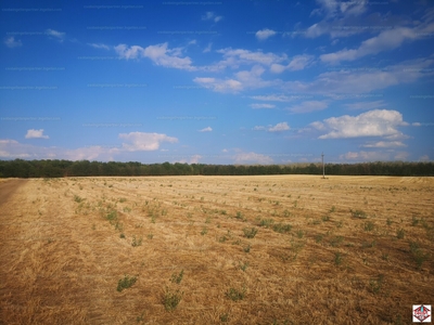 Eladó külterületi telek - Gyömrő, Pest megye