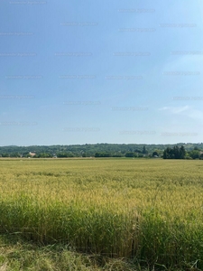 Eladó külterületi telek - Győrújbarát, Nagybarát