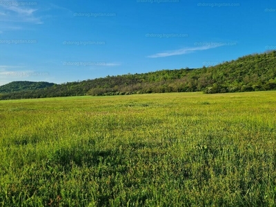 Eladó külterületi telek - Kesztölc, Komárom-Esztergom megye