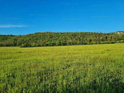 Eladó külterületi telek - Kesztölc, Komárom-Esztergom megye