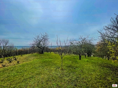 Eladó külterületi telek - Mány, Deák Ferenc utca