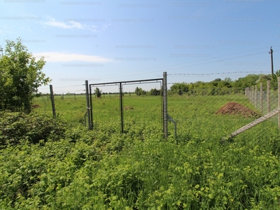 Eladó külterületi telek - Szeged, Újszeged