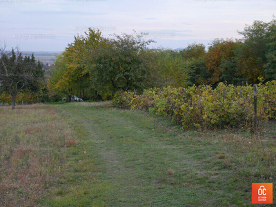 Eladó külterületi telek - Táp, Győr-Moson-Sopron megye