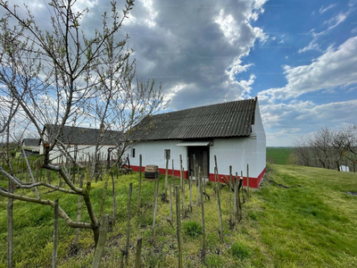 Eladó külterületi telek - Tárkány, Szőlőhegy