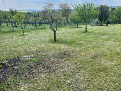 Eladó külterületi telek - Vértesacsa, Szőlőhegy