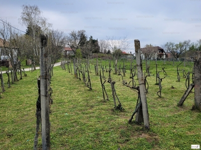 Eladó lakóövezeti telek - Ábrahámhegy, Veszprém megye