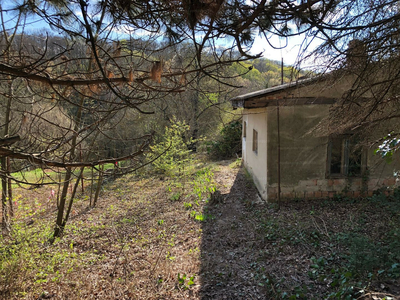 Eladó lakóövezeti telek - Budakeszi, Törökvész utca