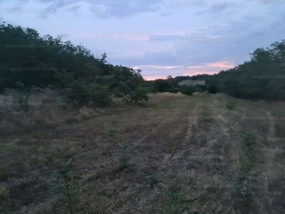 Eladó lakóövezeti telek - Fonyód, Somogy megye