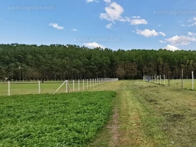 Eladó lakóövezeti telek - Jászberény, Portelek