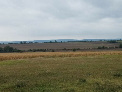 Eladó lakóövezeti telek - Magyaralmás, Szedres utca